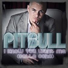 PitBull
